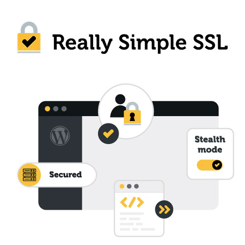 Really Simple SSL Pro 1