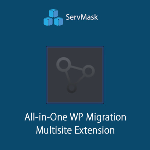 All in One WP Migration Multisite Extension 1