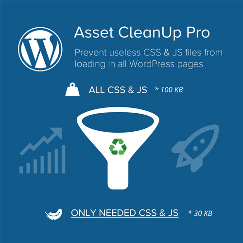 asset cleanup page speed booster pro 1
