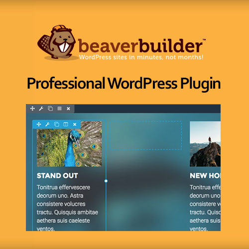 beaver builder professional wordpress plugin 1
