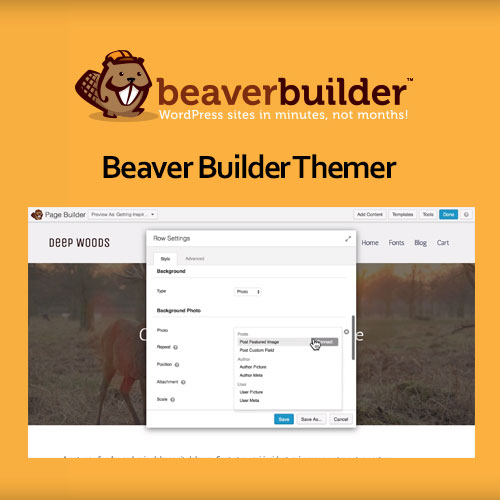 beaver builder themer 1