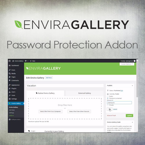 envira gallery e28093 password protection addon 1
