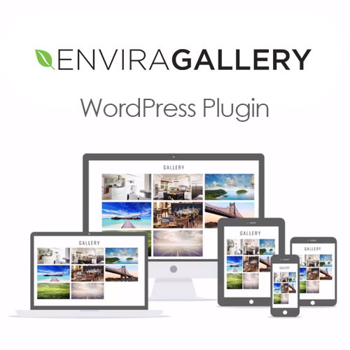 envira gallery wordpress plugin 1