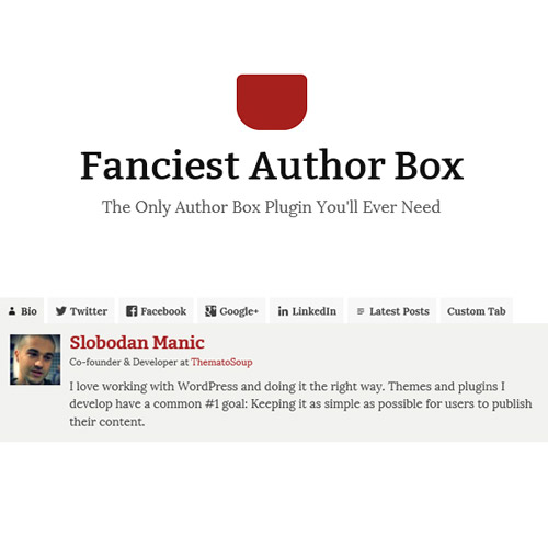 fanciest author box 1