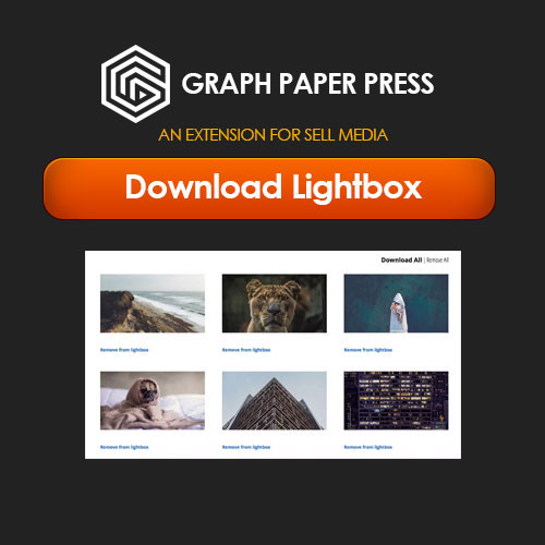 graph paper press sell media download lightbox 1