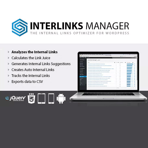 interlinks manager 1