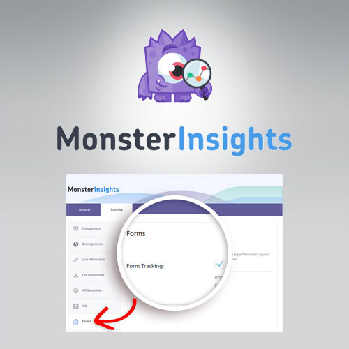 monsterinsights forms tracking addon
