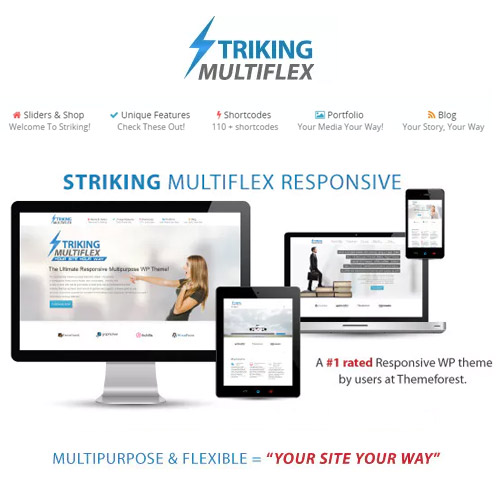 striking multiflex ecommerce responsive wp theme 1