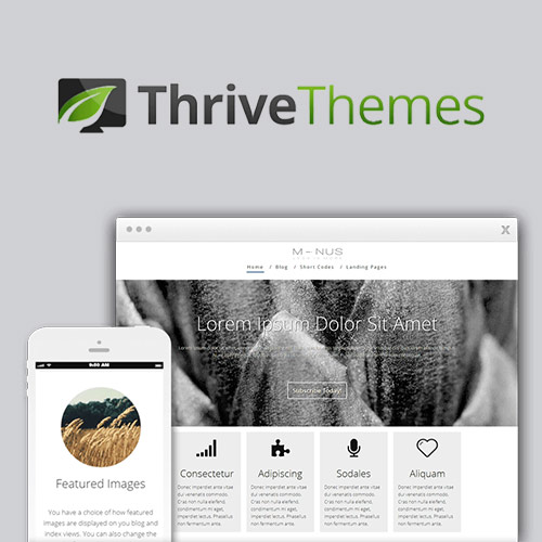 thrive themes minus wordpress theme 1